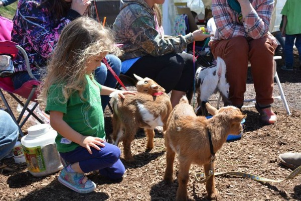 PettingZoo PettingZoo